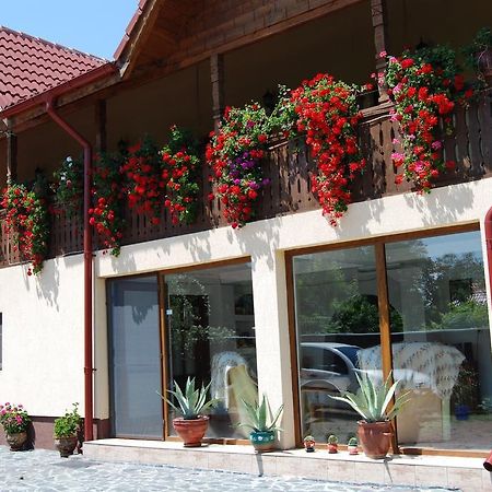 Pensiunea Casa Filoxenia Horezu Dış mekan fotoğraf