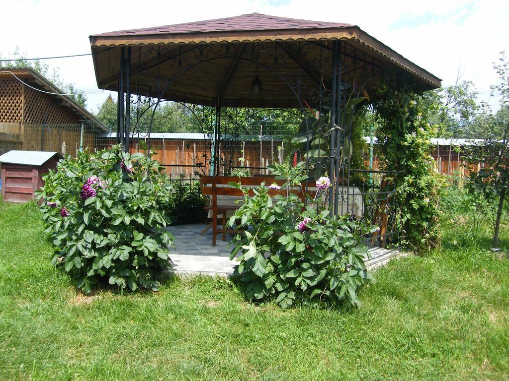 Pensiunea Casa Filoxenia Horezu Dış mekan fotoğraf