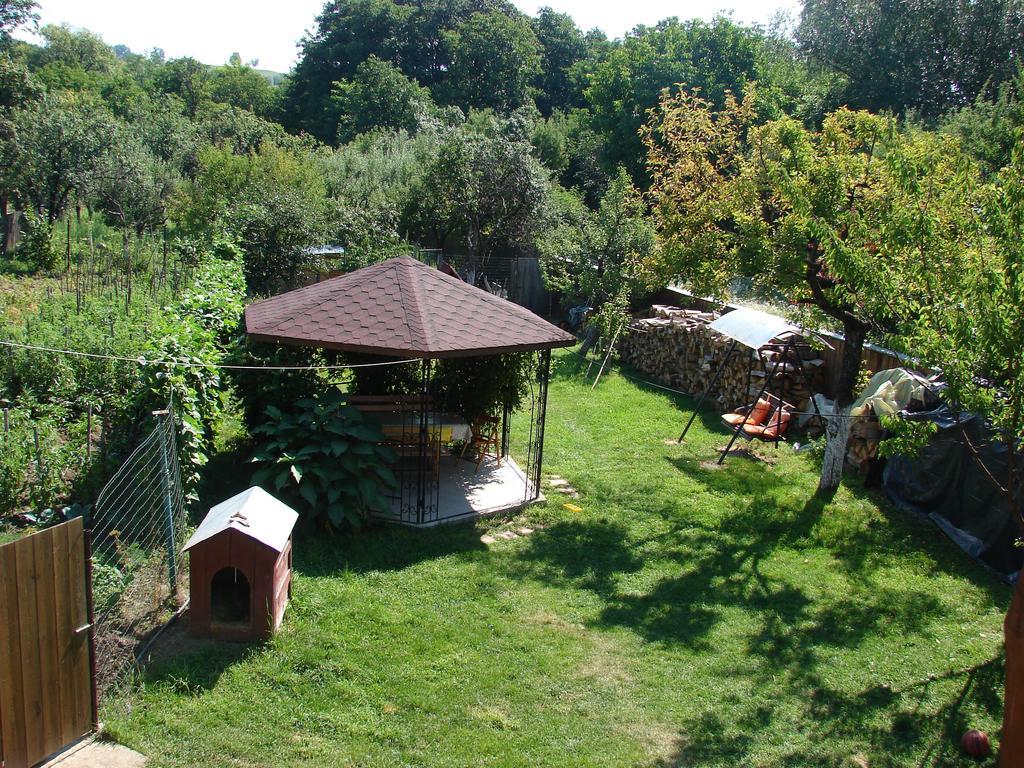 Pensiunea Casa Filoxenia Horezu Dış mekan fotoğraf