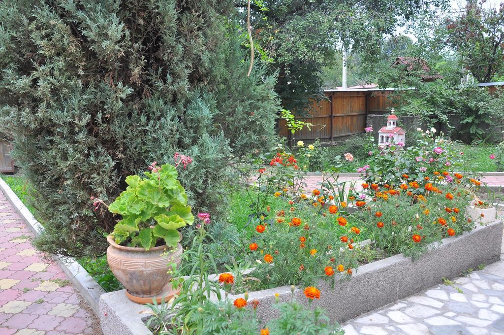 Pensiunea Casa Filoxenia Horezu Dış mekan fotoğraf